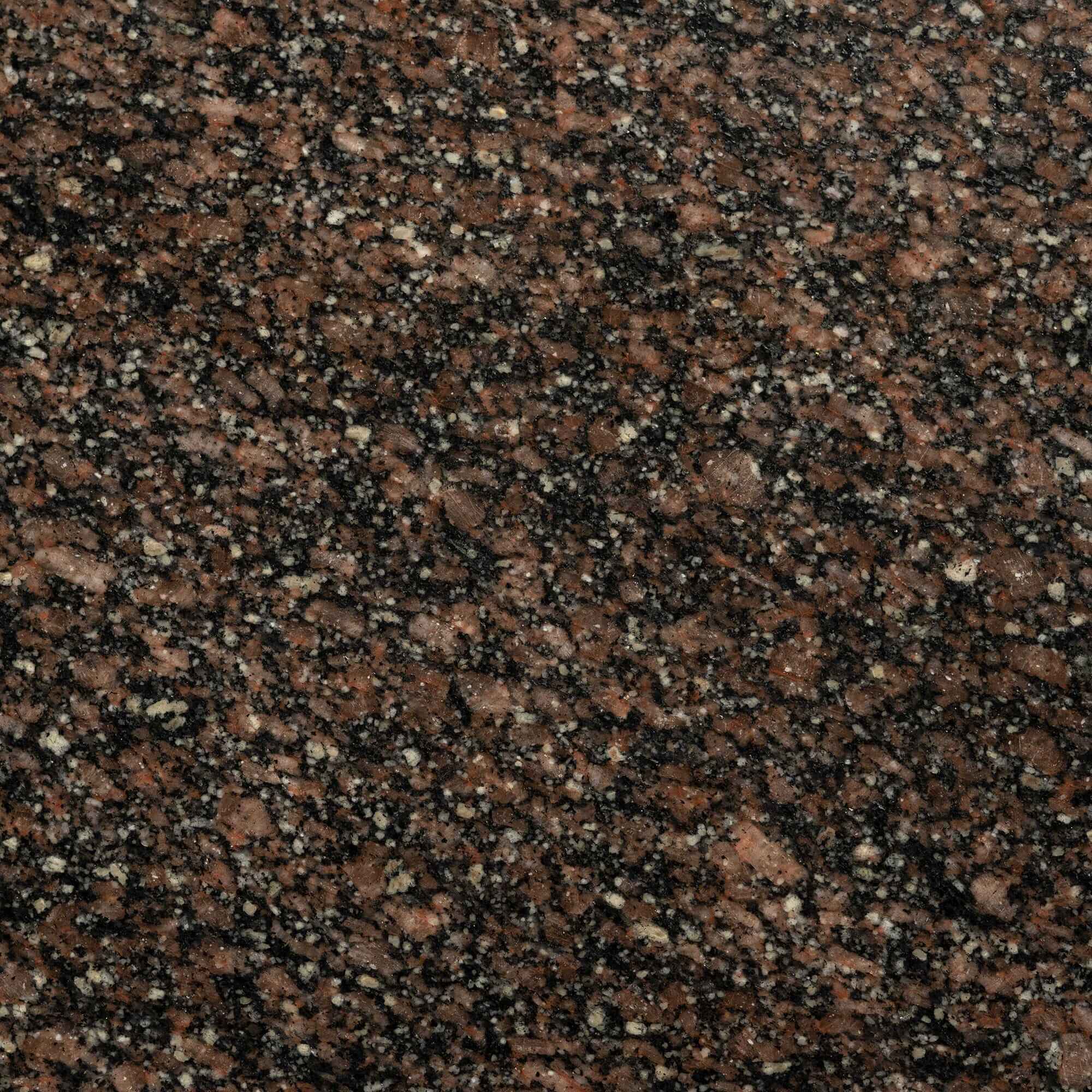 India Mahogany